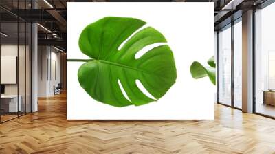 Set of green tropical monstera leaves on white background Wall mural