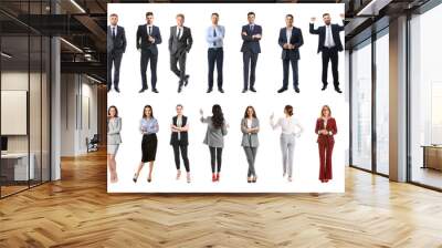 Set of many business people isolated on white Wall mural