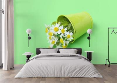 Small bucket with fresh chamomile flowers on green background Wall mural