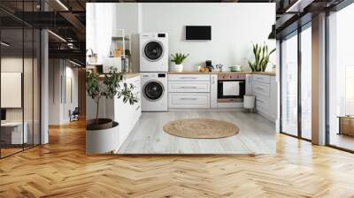 Stylish interior of kitchen with modern washing machines Wall mural