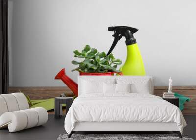 Succulent and gardening tools on table against white background Wall mural