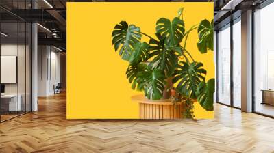 table with monstera houseplant on yellow background Wall mural