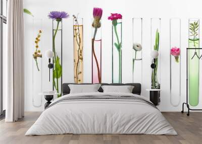 Test tube with plant on white background Wall mural