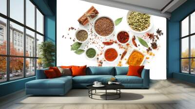 Variety of spices on white background Wall mural