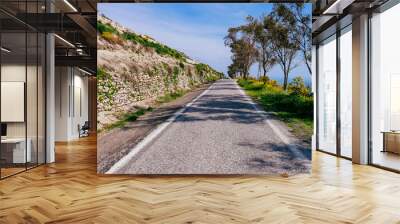 View of asphalt road at resort Wall mural