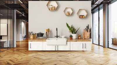 White counters with sink, food, kitchen utensils and houseplants near light wall Wall mural