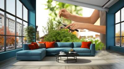 Woman cutting fresh rosemary in kitchen Wall mural