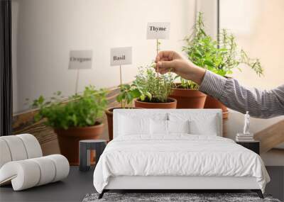 Woman inserting stick with word THYME into pot Wall mural