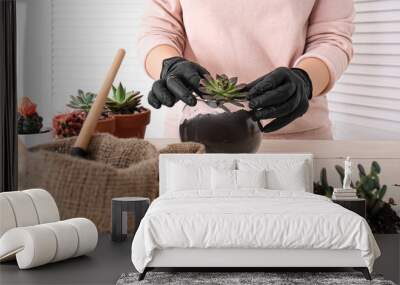 Woman transplanting succulent at home Wall mural