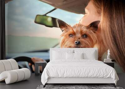 Woman with cute dog traveling by car Wall mural