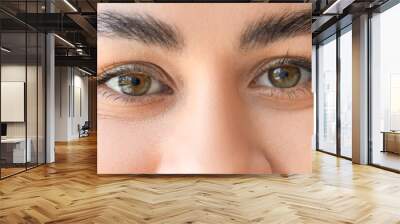 Young African-American woman with beautiful eyes, closeup Wall mural