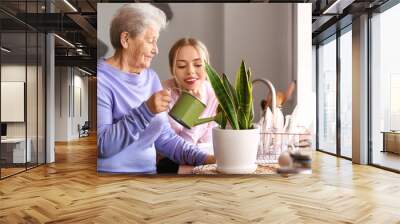 Young woman and her grandmother watering houseplant in kitchen Wall mural