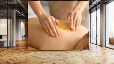 Young woman receiving scrub massage in spa salon Wall mural