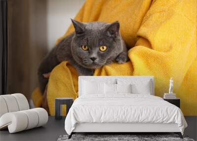 Young woman with cute British cat in kitchen on autumn day, closeup Wall mural