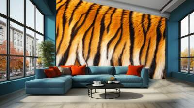 tiger fur background Wall mural