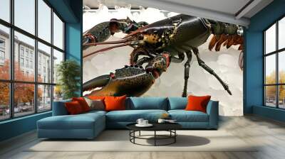 Freshly Sourced Lobster Seafood Wall mural