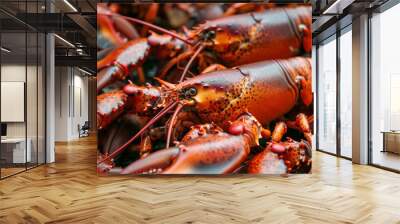 Premium Fresh Lobster Seafood Wall mural