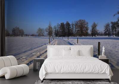 Wunderschöne Winterlandschaft in Bad Gögging in Bayern Wall mural