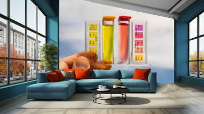 swimming ph for pool to check chlorine Wall mural