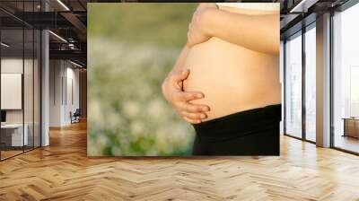 Woman pregnancy. Motherhood concept. Pregnant woman hugging belly in closeup. Defocused nature background and space for copy Wall mural