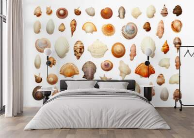 sea shells isolated on transparent background Wall mural