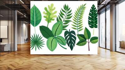 vector set of different tropical leaves on isolated background Wall mural