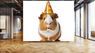 A Guinea Pig wearing a birthday hat isolated on a white background  Wall mural