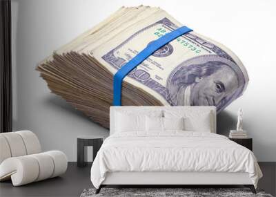 Fat Wad of Money Wall mural