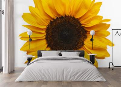 Sun Flower Wall mural