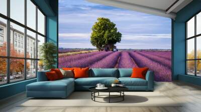 Campi di Lavanda in Provenza, Francia Wall mural