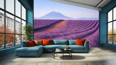 Campi di Lavanda in Provenza, Francia Wall mural