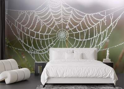 spider web pattern wallpaper Wall mural