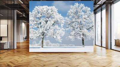 Winter forest wallpaper Wall mural