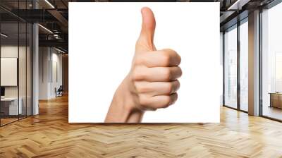 Men hand showing thump sign, front view isolated on transparent background. Wall mural