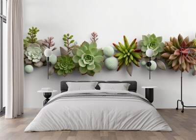 Arrangement of various types succulent flowering houseplants white background Wall mural