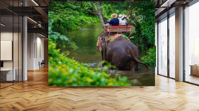 couple tourist riding on elephants Wall mural