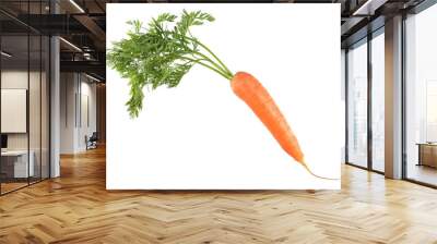 Carrot isolated on white background Wall mural