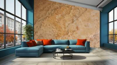 1407862 Brown natural stone background Wall mural