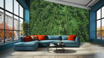 Atv tour in forest Wall mural