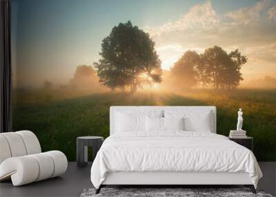 Bright sunrise on spring meadow Wall mural