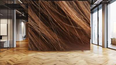 Brown orange color hair macro Wall mural