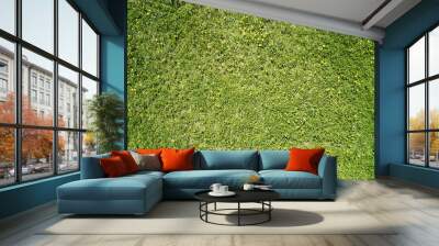 Clean fresh green grass background Wall mural