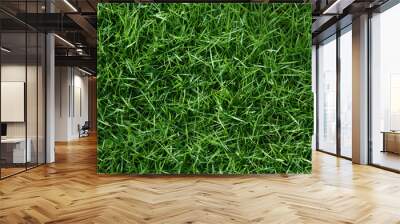 Clean green grass Wall mural