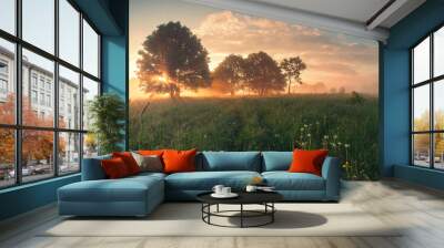 Colorful spring sunrise on meadow Wall mural