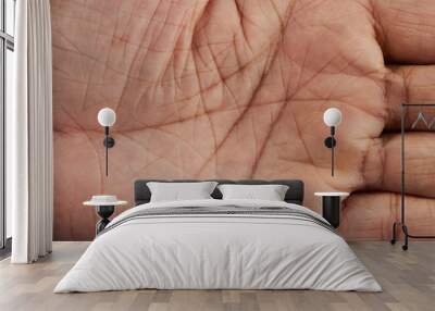 Lines on human hand palm Wall mural