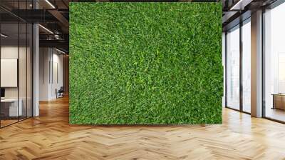 Mossy green grass background Wall mural