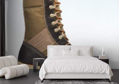 One brown leather shoe Wall mural