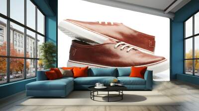 Pair of brown modern shoes Wall mural