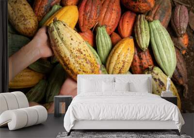 Ripe of cacao plant tree Wall mural