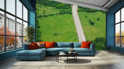 Road in green natural field landscape Wall mural